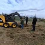 Trabajos de ampliación en el viñedo de Punto Orgánico