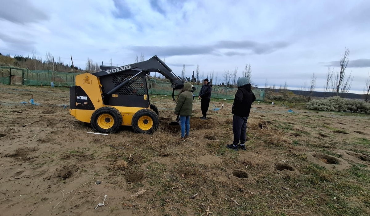 Trabajos de ampliación en el viñedo de Punto Orgánico