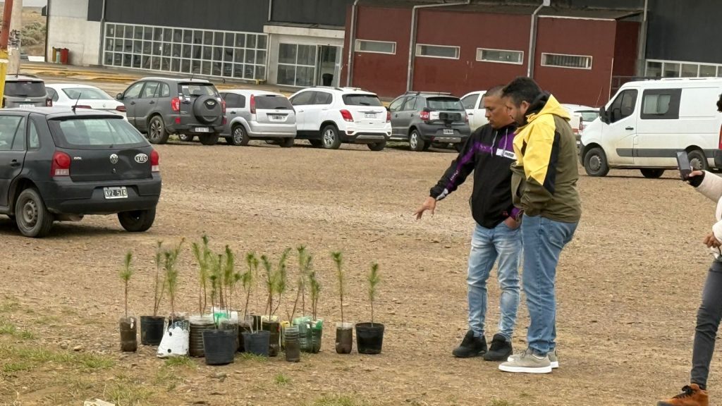 Colocarán más de 150 pinos en distintos espacios públicos de la ciudad