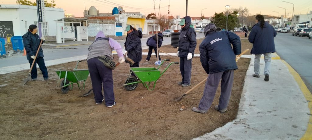 Avanza la colocación de césped en espacios públicos