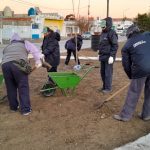 Avanza la colocación de césped en espacios públicos