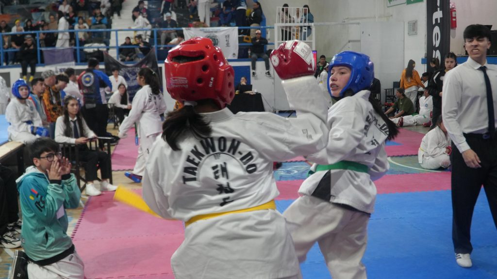 29ª edición de la Copa Mes de la Niñez de Taekwondo ITF en el Complejo Municipal
