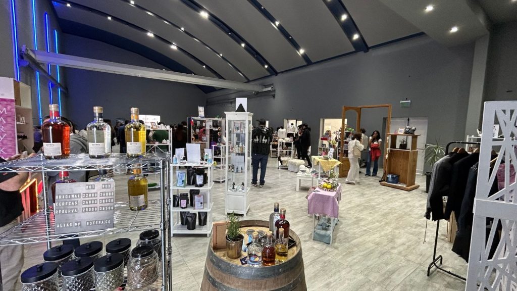 Comenzó la 10° Ronda Binacional de Negocios entre Argentina y Chile