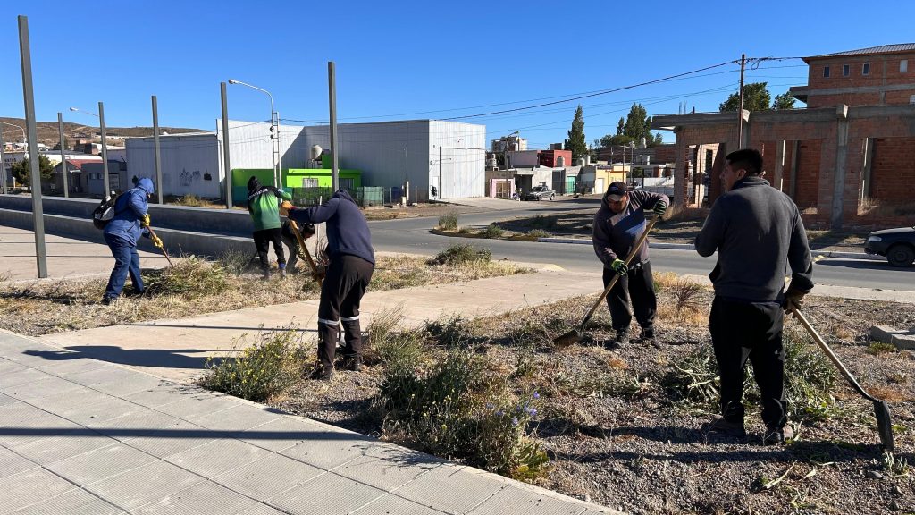 Continúa la ejecución de las tareas de limpieza en diversos sectores