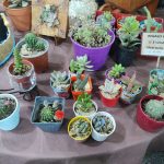 Feria de emprendedores y artesanos en Más Gestión