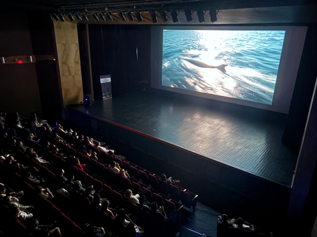 Se proyectó “SEI, la ballena desconocida” en el Cine Municipal