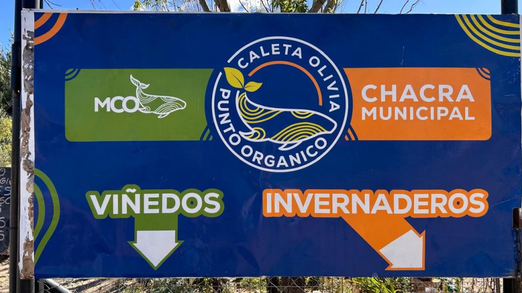 Visitas guiadas a Punto Orgánico en el marco de la Fiesta de la Náutica