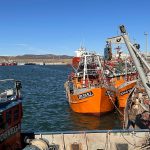 Visita guiada al puerto convocó a turistas y caletenses