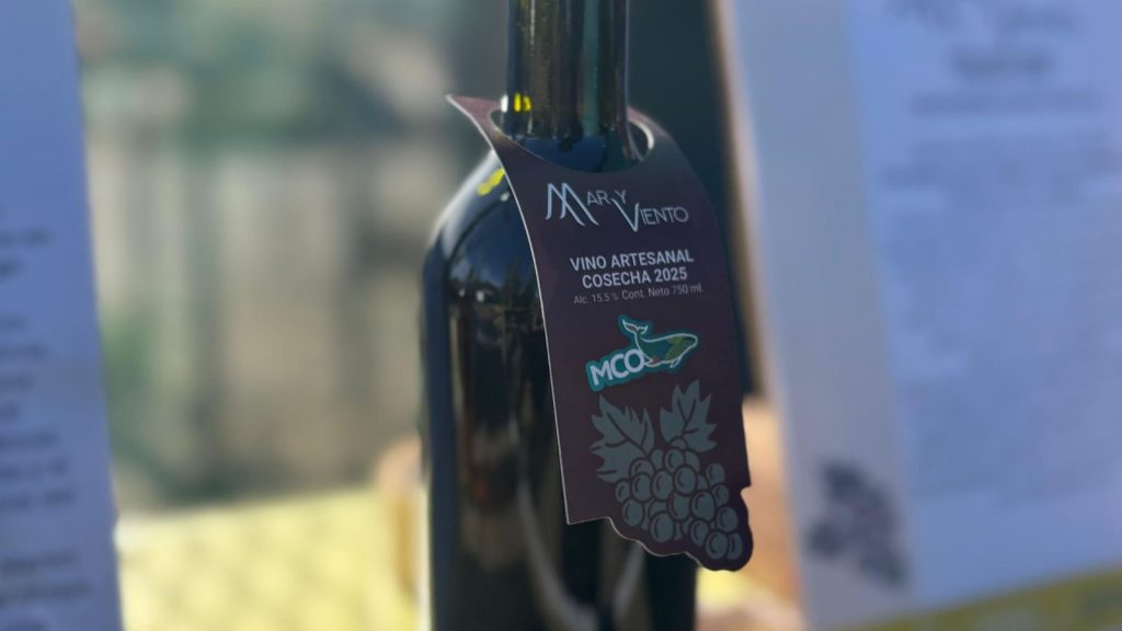 Caleta Olivia presentó su primer vino artesanal “Mar y Viento”