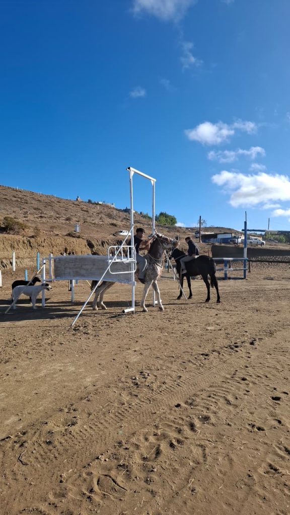 Caleta Olivia se prepara para una gran fiesta criolla