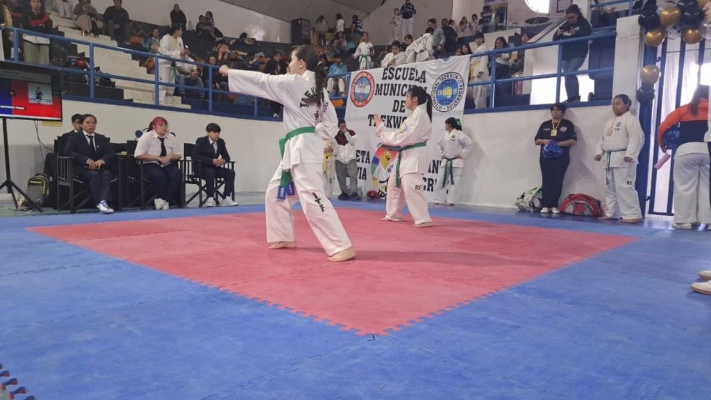 La Copa de la Niñez celebró su 30.ª edición