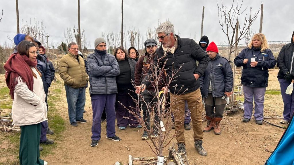 Punto Orgánico continúa fortaleciendo la capacitación comunitaria con una jornada sobre poda de frutales