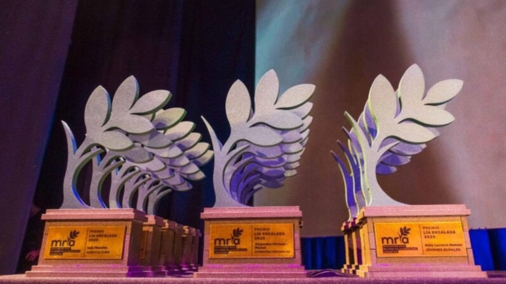 Carmen Almendra fue postulada a los Premios “Lía Encalada 2026” por su trabajo en innovación y tecnología