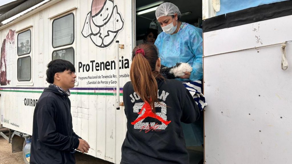 Castraciones gratuitas: el Quirófano Móvil llegó a Zona de Chacras