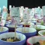 Se realizó un mate bingo solidario para agasajar a las madres de los talleres municipales