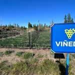 Punto Orgánico avanza con la instalación de un nuevo sistema de riego para su viñedo